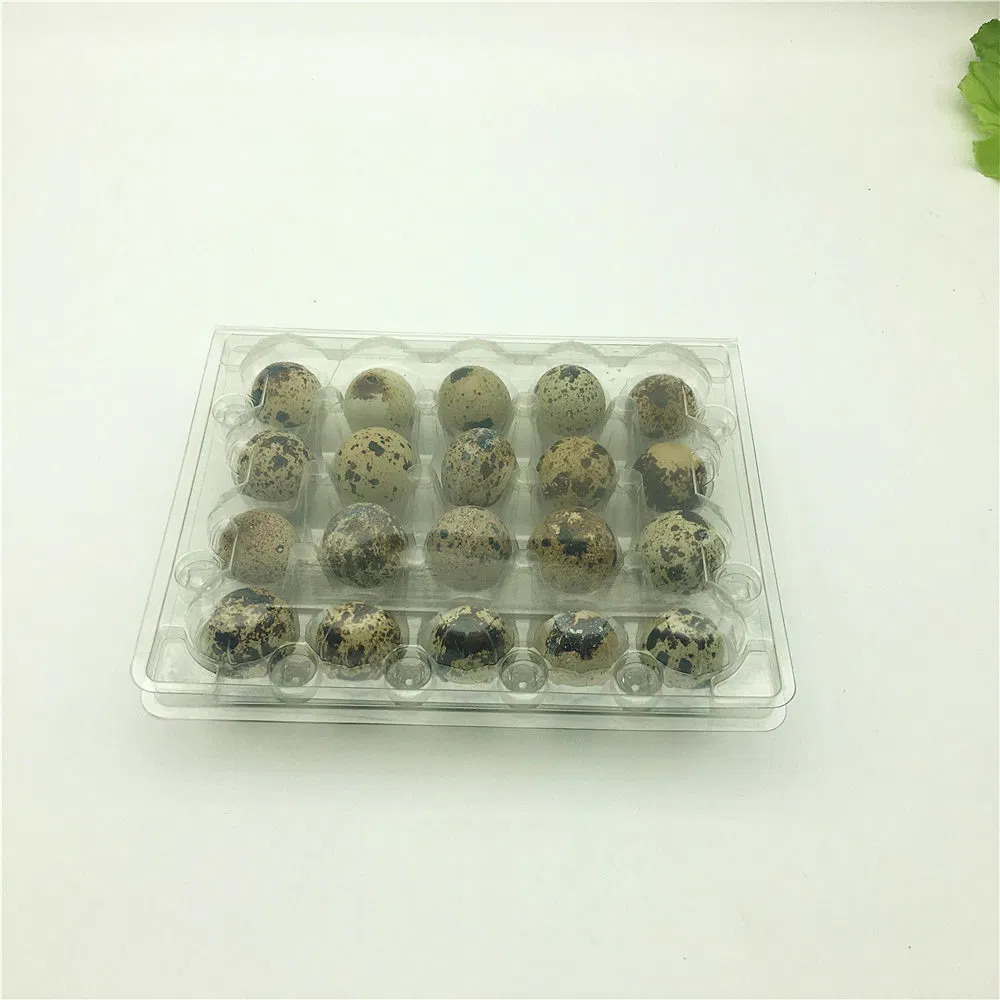 18 Holes Quail Egg Plastic Packaging Tray