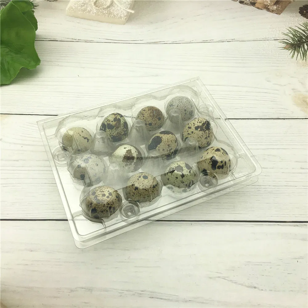 18 Holes Quail Egg Plastic Packaging Tray