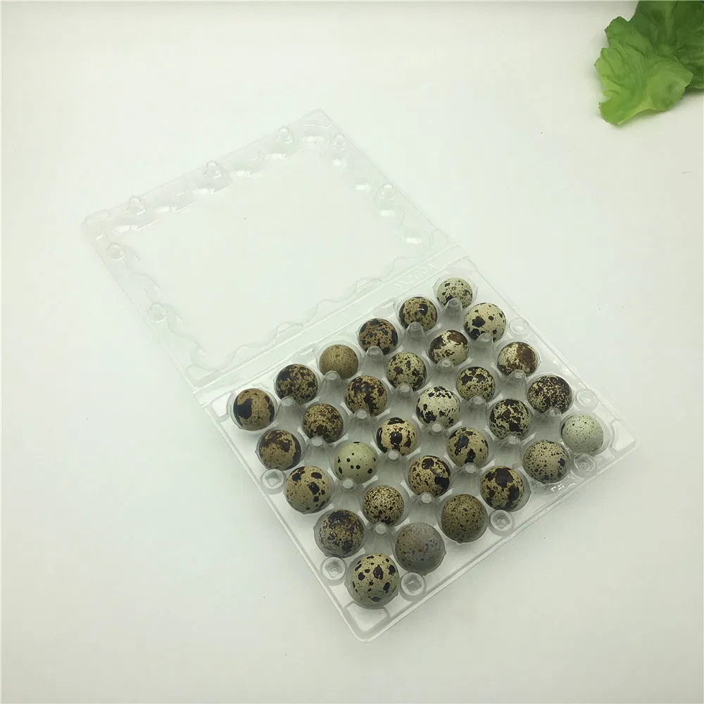 18 Holes Quail Egg Plastic Packaging Tray