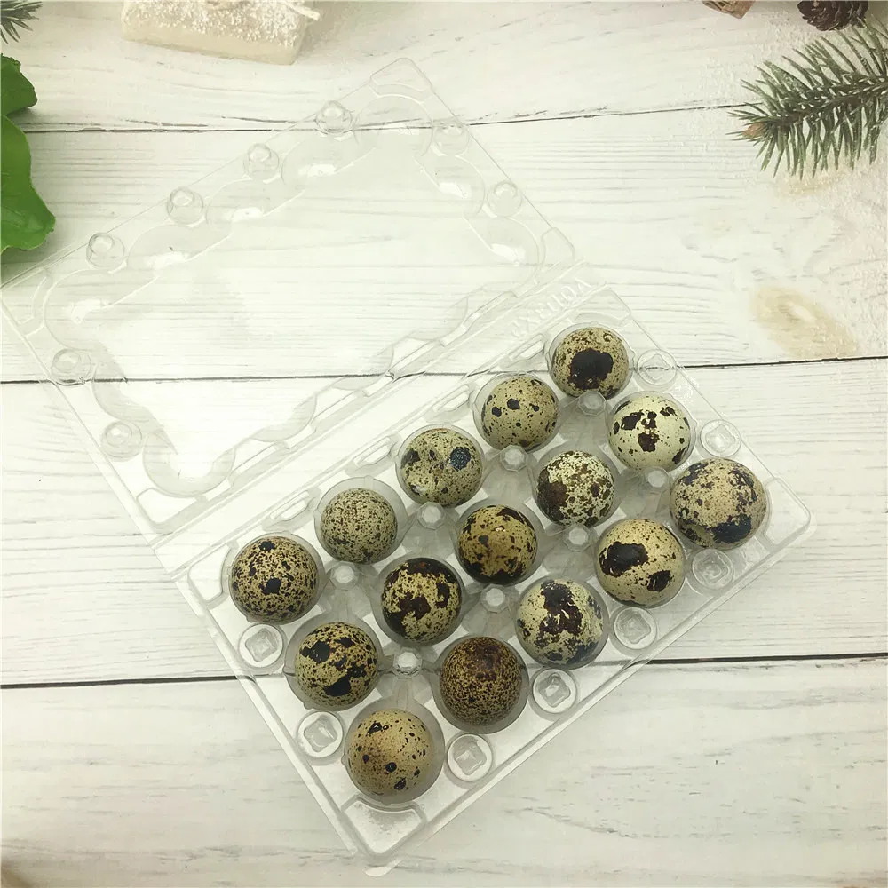 18 Holes Quail Egg Plastic Packaging Tray