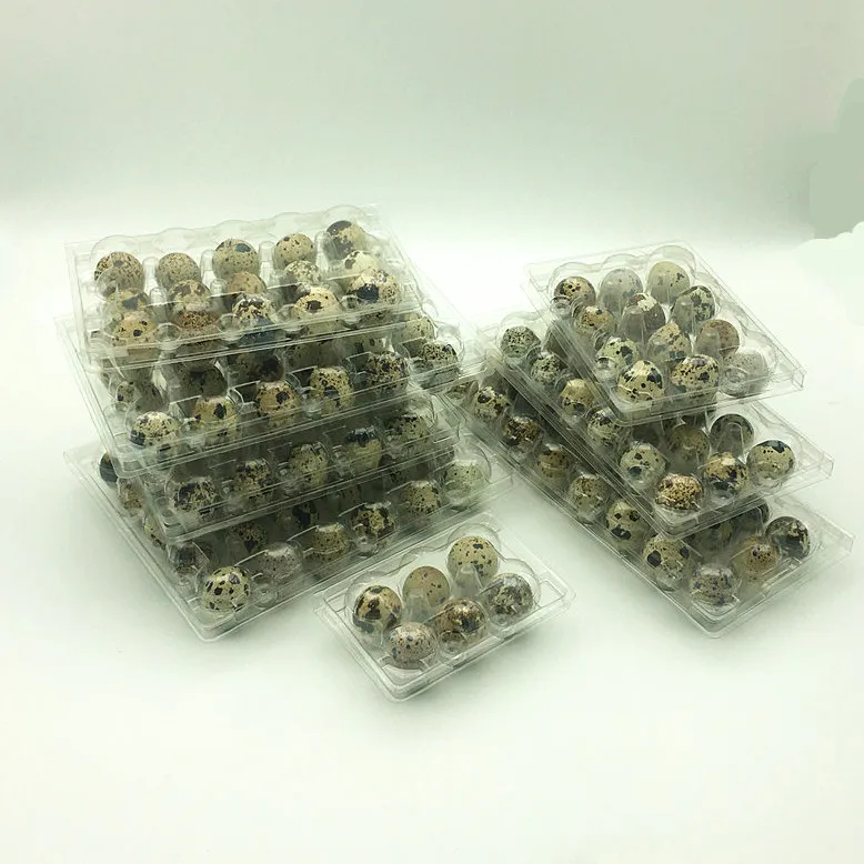18 Holes Quail Egg Plastic Packaging Tray