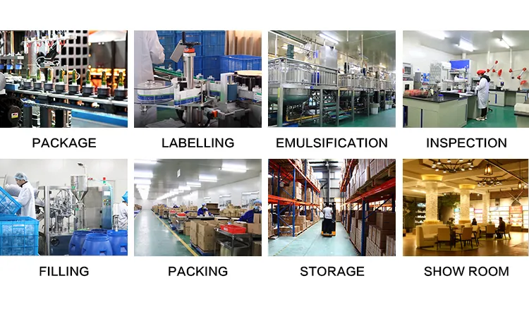 32ml PETG/PVC Plastic Cosmetic Packaging Empty Bottle with Chromed Sliver Screw Cap