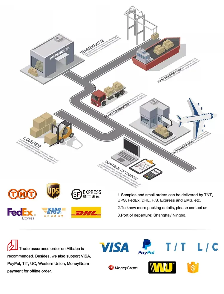 32ml PETG/PVC Plastic Cosmetic Packaging Empty Bottle with Chromed Sliver Screw Cap