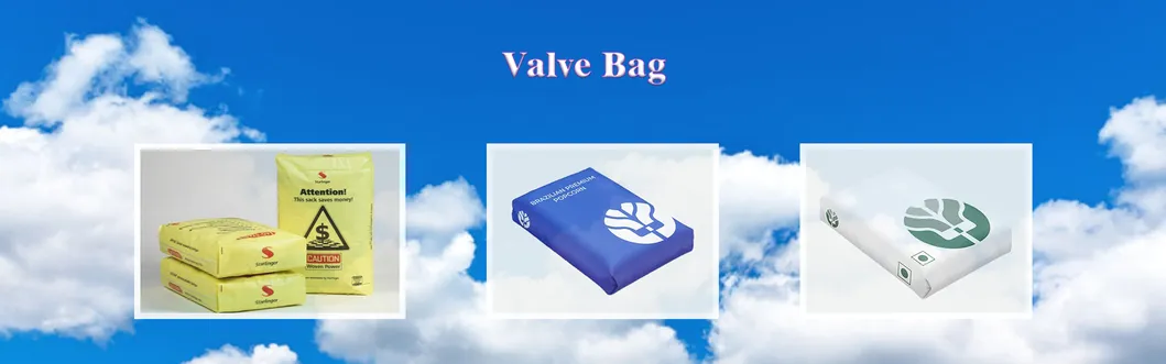 8 Colorful Gravure Printing BOPP Laminated PP Woven Bags with Valve Feeding Mouth