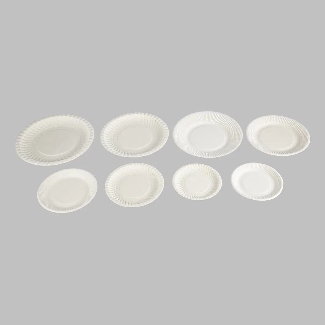 9" X 6" Clamshell Disposable Eco Containers Food Microwavable Hinged Container Boxes Restaurant Carryout Lunch Meal Takeout Box