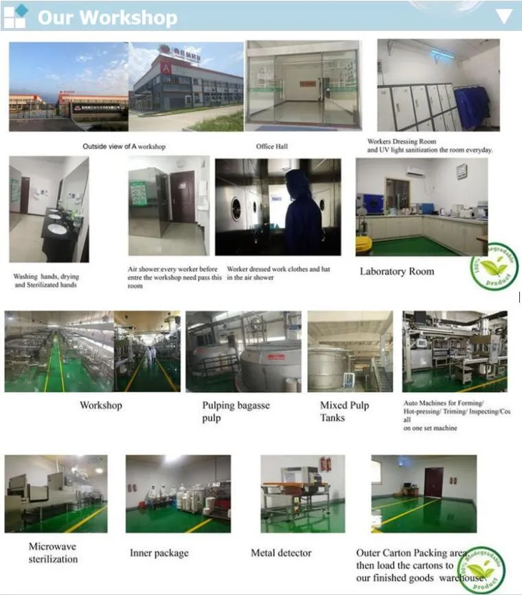 9" X 6" Clamshell Disposable Eco Containers Food Microwavable Hinged Container Boxes Restaurant Carryout Lunch Meal Takeout Box