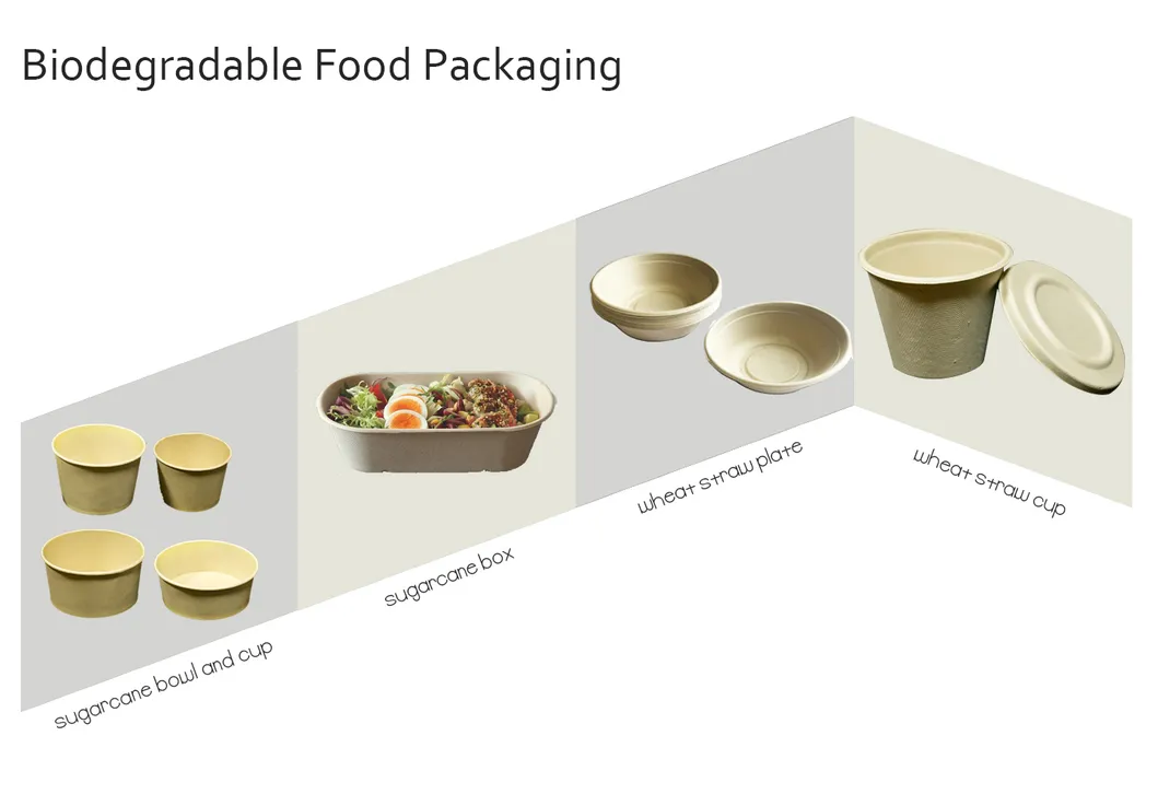 Biodegradable 6X9 Take out Food Containers with Clamshell Hinged Lid for Restaurant Carryout or Party Take Home Boxes