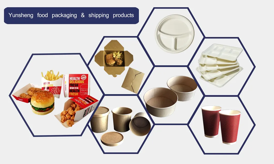 Biodegradable 6X9 Take out Food Containers with Clamshell Hinged Lid for Restaurant Carryout or Party Take Home Boxes