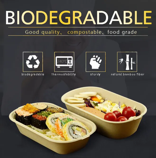 Biodegradable 6X9 Take out Food Containers with Clamshell Hinged Lid for Restaurant Carryout or Party Take Home Boxes