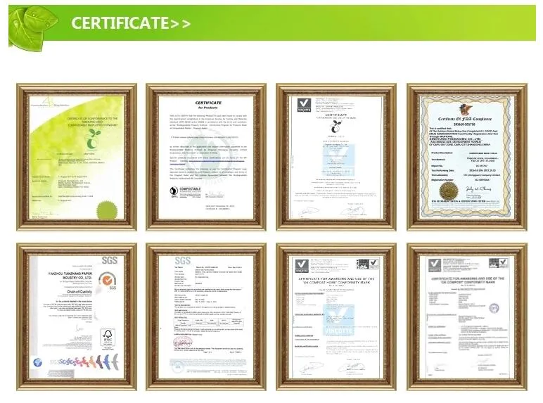 Biodegradable Poly Mailer Compostable Large Satchels Mailing Bags