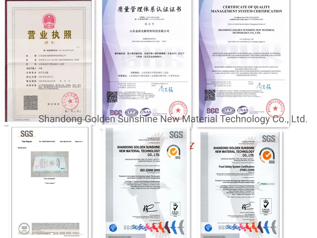 China Flood Sandbags 25kg/50kg PP Woven Plastic Bag