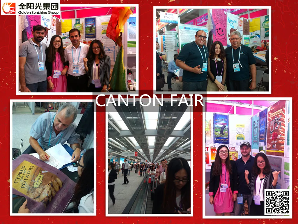 China Flood Sandbags 25kg/50kg PP Woven Plastic Bag