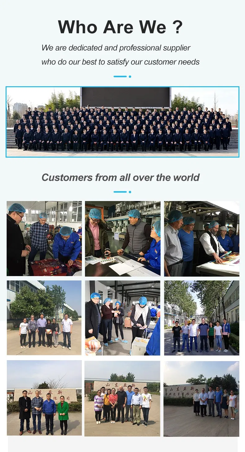 Custom Logo 500PCS Mini Quantity Plastic Stand up Pouch for Food Packaging