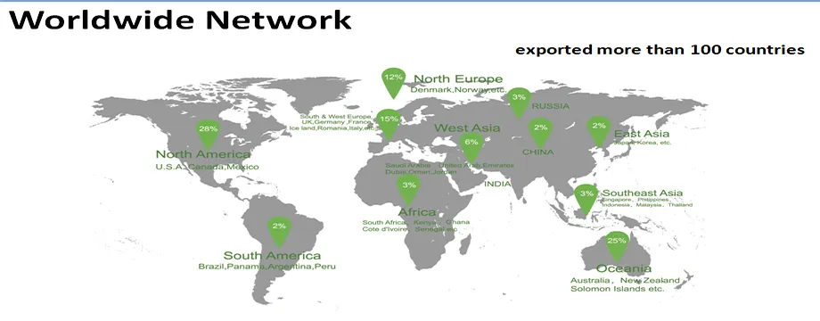 Custom Paper Material and Packaging Paper Box for Footwear