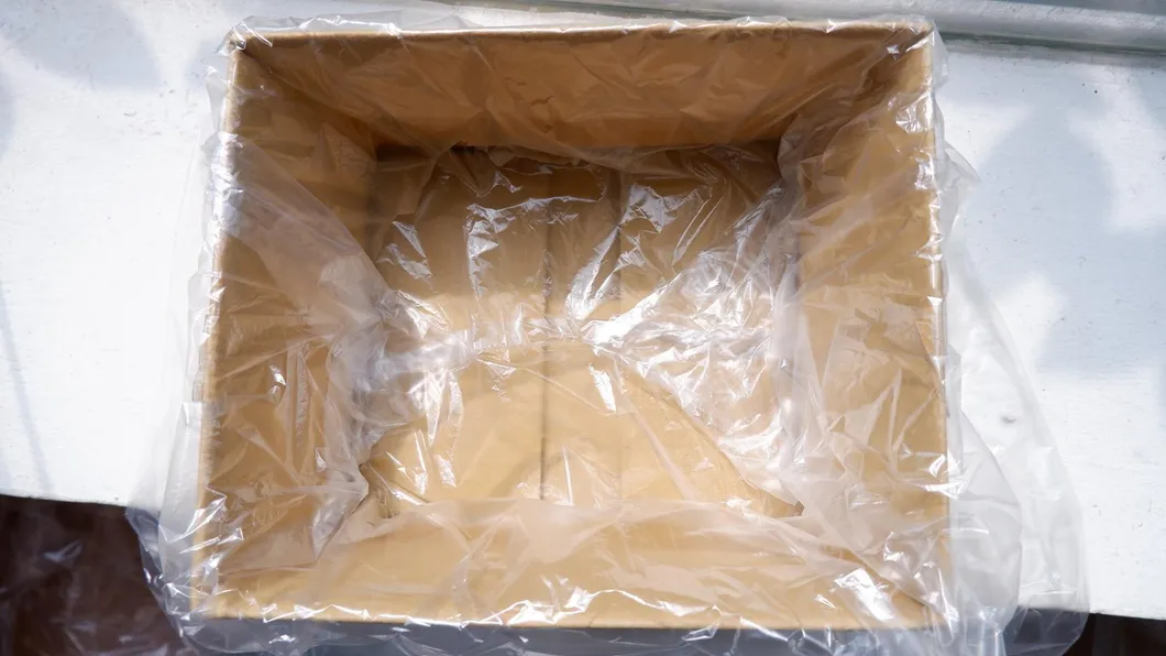 Custom Print Self Seal Clear Plastic Poly Packaging Bag