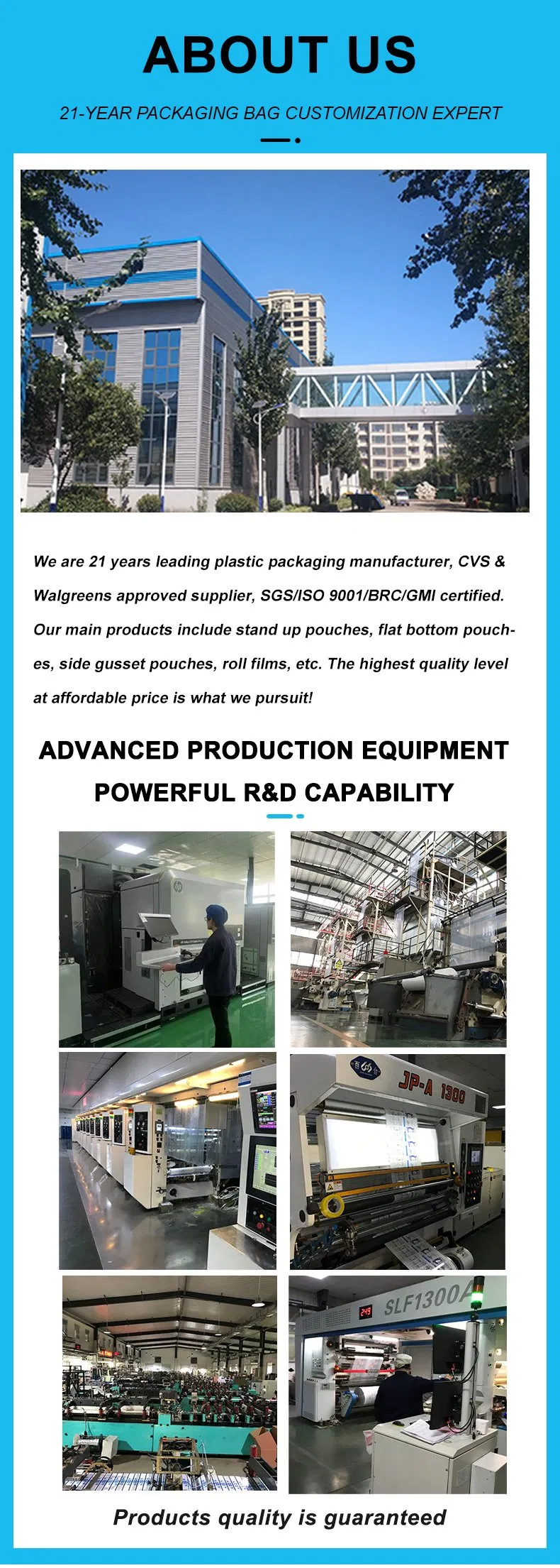 Custom Printed Grip Seal Reclosable Food Packaging Plastic Stand up Doypack Bag with Ziplock Zipper