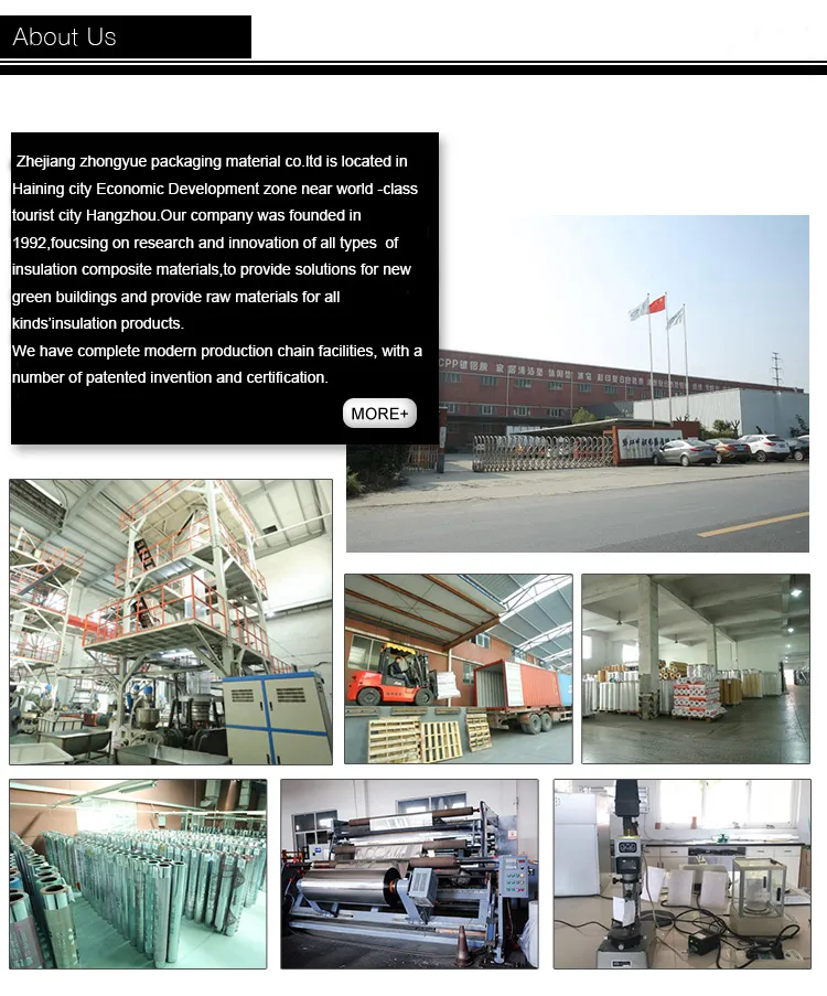 Custom Printed Poly White Bubble Package Envelope Mailer Shipping Bag