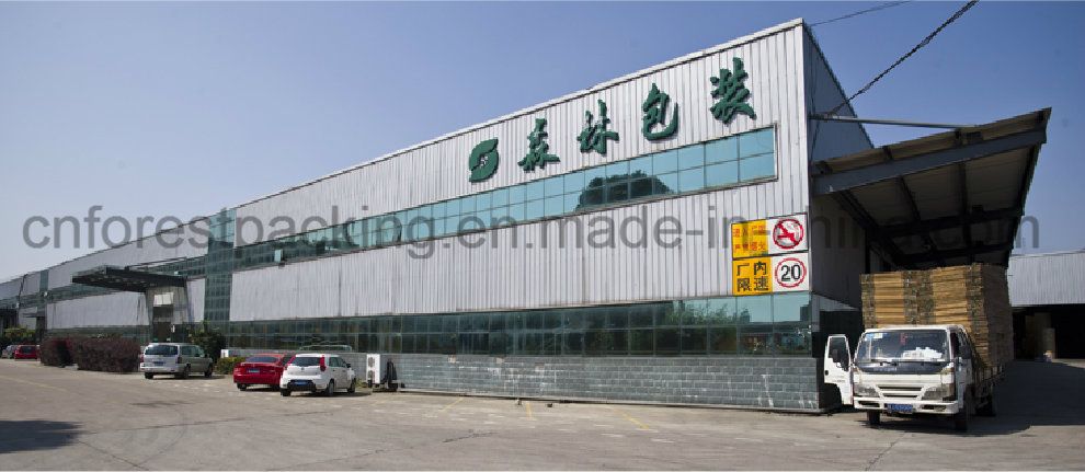 Custom Printing Packaging Paper Box for Socket