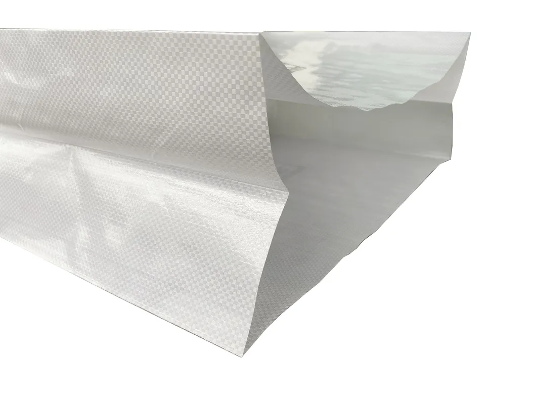 Customized BOPP Laminated PP Woven Bag BBQ Charcoal Bag Barbecue