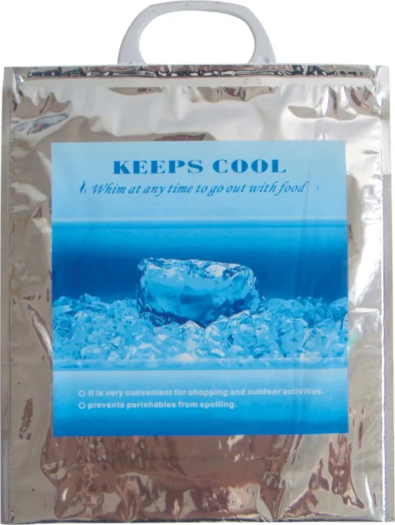 Customized EVA/PVC/OPP Environmental Packaging Bag