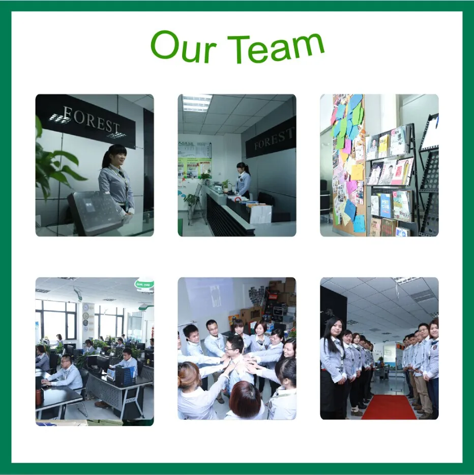 Customized Paper Packaging Box Wholesale (FOREST PACKING 019)