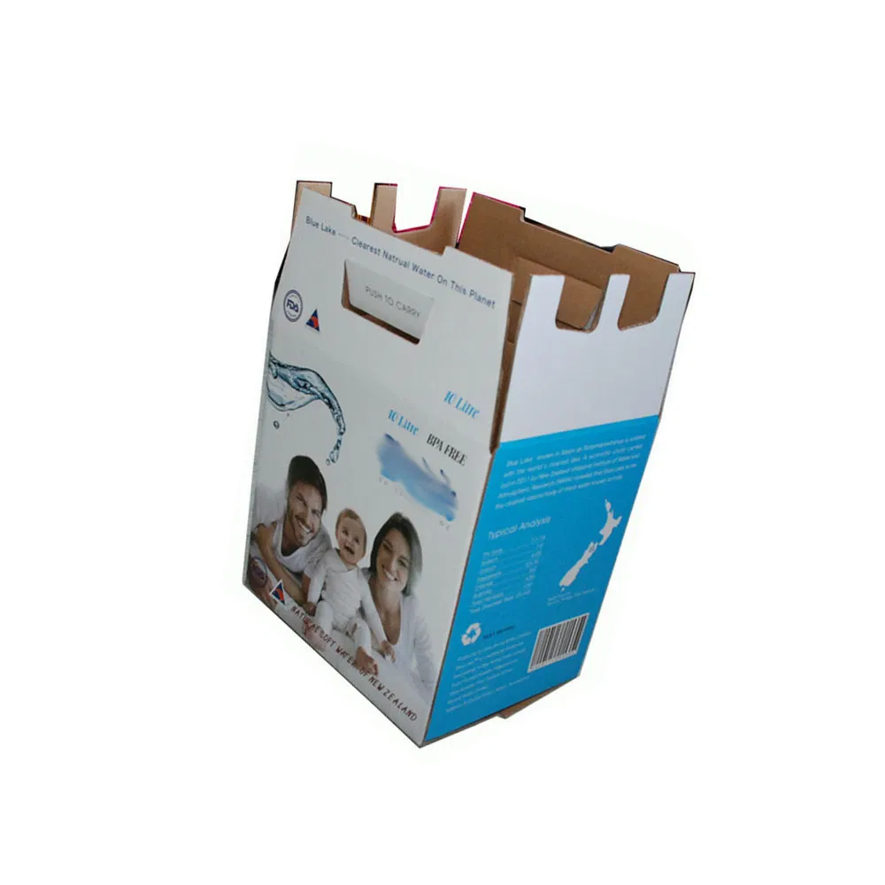 Double Wall Corrugated Caton Box for Bag in Box Wholesale