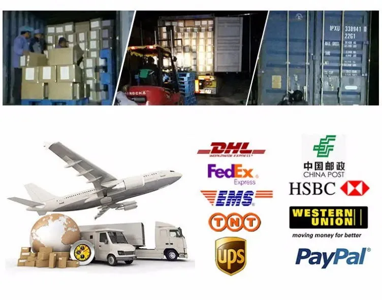 Dragonfly Shape Antique Metal Arabic Style Attar Essential Oil Bottle