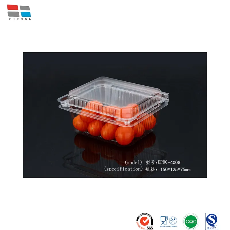 Fukuda Package China Edible Oil Packaging Containers Manufacturing Container Packaging Plastic Material Blueberry Packing for Fruit Packing