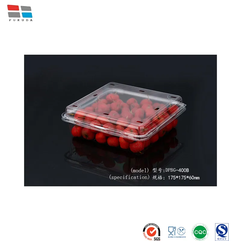 Fukuda Package China Edible Oil Packaging Containers Manufacturing Container Packaging Plastic Material Blueberry Packing for Fruit Packing