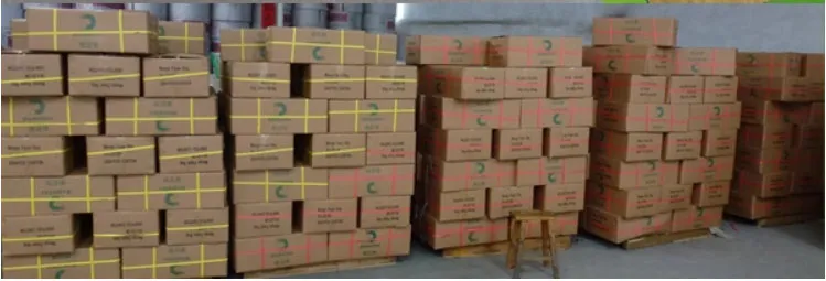 High Grade Composite Paper Moisture-Penetrability Mango Protection Bag for Mango Growing