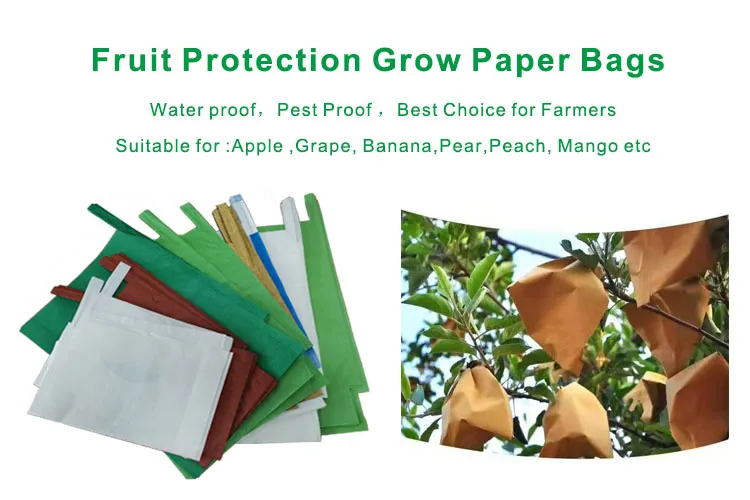High Grade Composite Paper Moisture-Penetrability Mango Protection Bag for Mango Growing