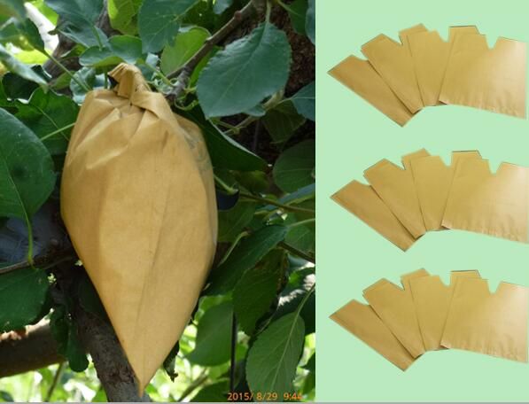 High Grade Composite Paper Moisture-Penetrability Mango Use Fruit Raising Paper Bag