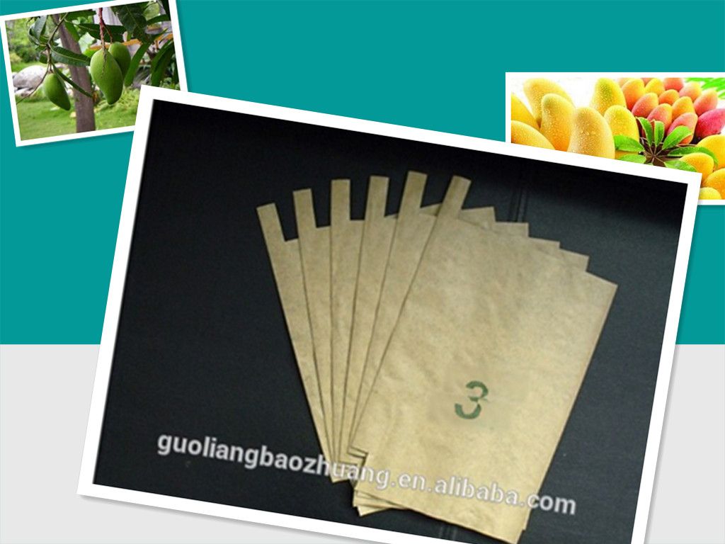 High Grade Composite Paper Moisture-Penetrability Mango Use Fruit Raising Paper Bag