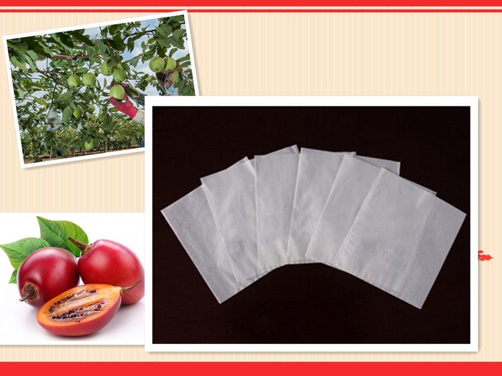 High Grade Composite Paper Moisture-Penetrability Mango Use Fruit Raising Paper Bag