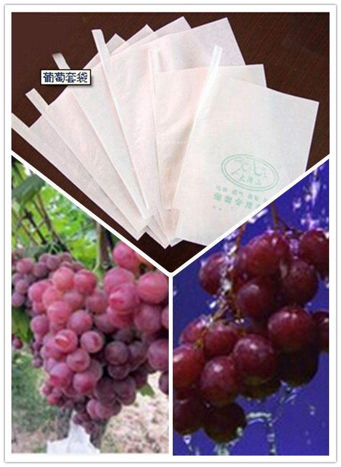 High Grade Composite Paper Moisture-Penetrability Mango Use Fruit Raising Paper Bag