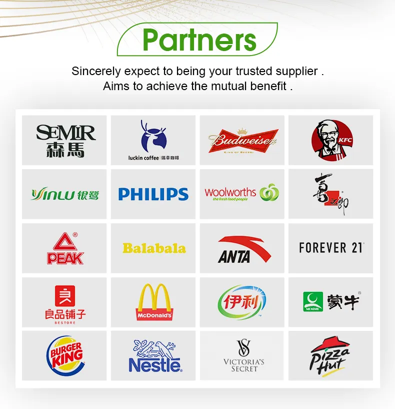 Hot Selling Customized Colored White Gift Bags Bulk