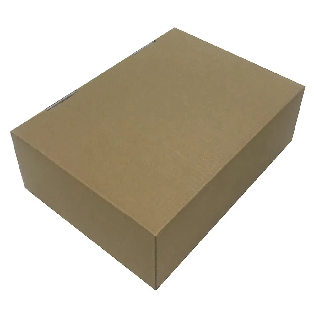 Kraft Shipping Corrugated Carton for Packing Fruits