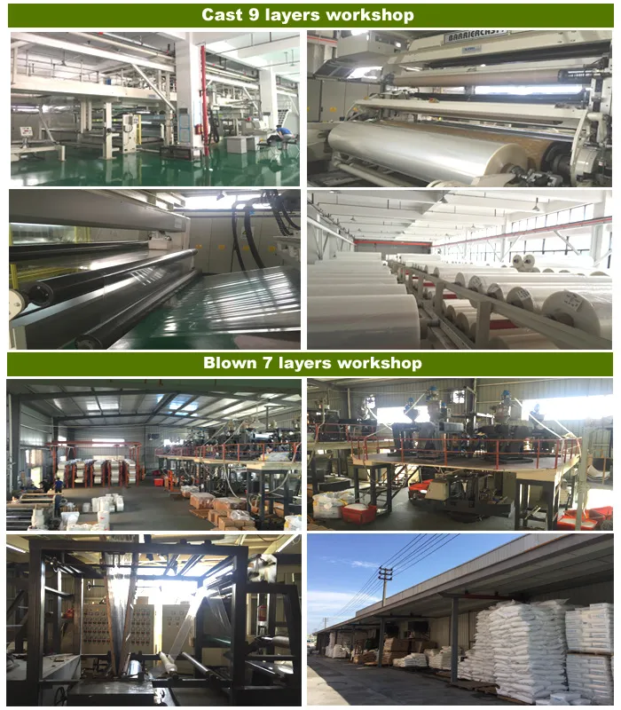 Ny/PE PA/EVOH/PE Clear Print Mutton Beef Pork Shrink Bags for Meat