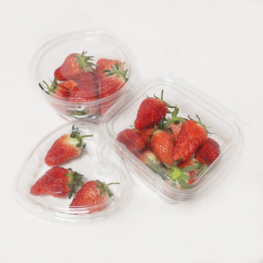 Pet Plastic Punnets Packing Mushroom Fruits to Go Salad Bowl
