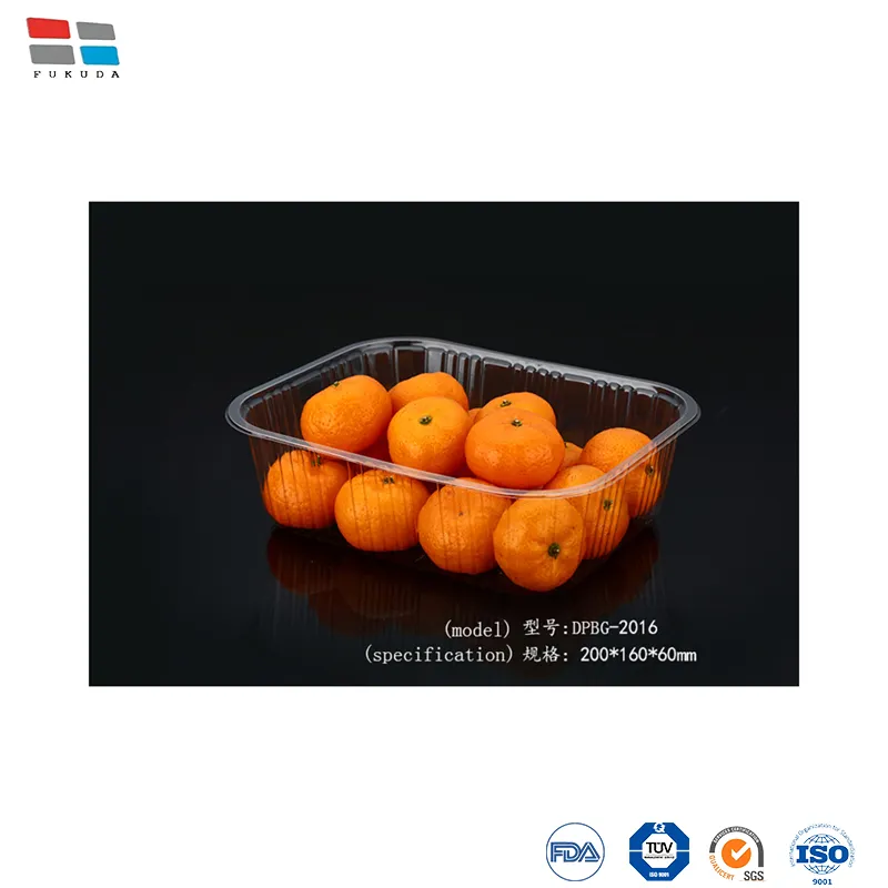 Plastic Clear Tray Disposable Fresh Meat Vegetable Fruit Tray