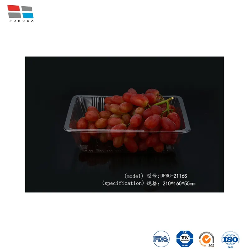 Plastic Clear Tray Disposable Fresh Meat Vegetable Fruit Tray