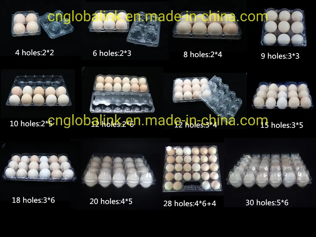 Plastic Egg Tray Egg Box 12 Holes Egg Packing Punnets 12 Cells