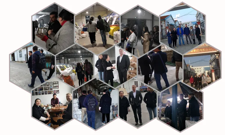 Polypropylene Bag Manufacturer Printing Making Price Mexico PP Woven Roll 1000 FT.