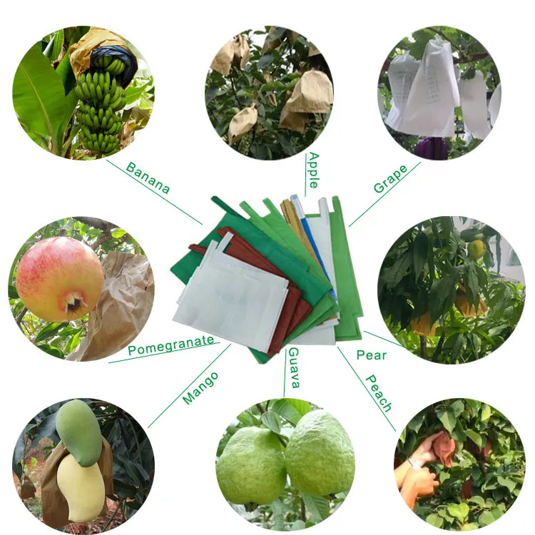 Professional Manufacturer Free Printing of Trademarks Waxed Mango Guava Planting Protection Bag Growing