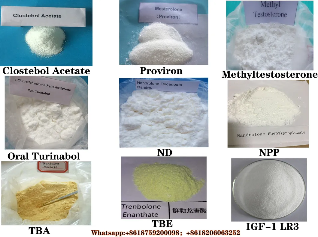 Self Adhesive Test Prop Holographic 10ml Glass Vial Labels Hulk Stickers Test P Glossy Finish & Testosterone Propionate (Test Propionate) Powder Factory Price