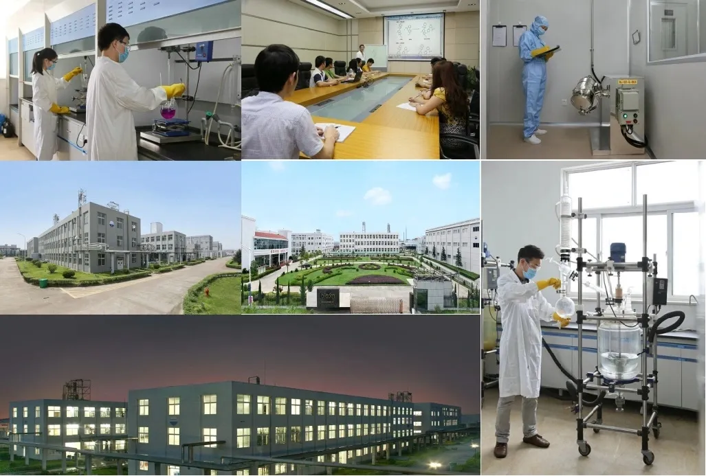 Self Adhesive Test Prop Holographic 10ml Glass Vial Labels Hulk Stickers Test P Glossy Finish & Testosterone Propionate (Test Propionate) Powder Factory Price