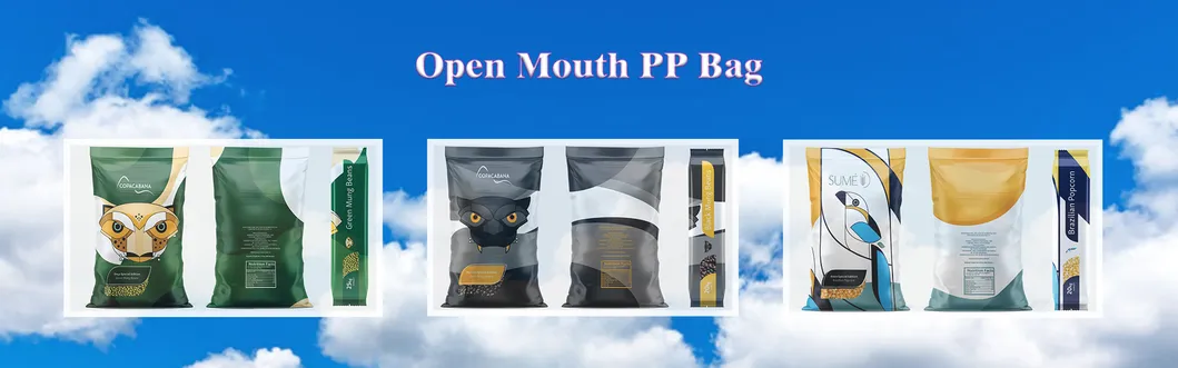 SGS Open Mouth Sewn Bottom Block Bottom Easy Open Bottom Glossy BOPP/PP Matt BOPP/PP Laminated Bag Packaging Bag