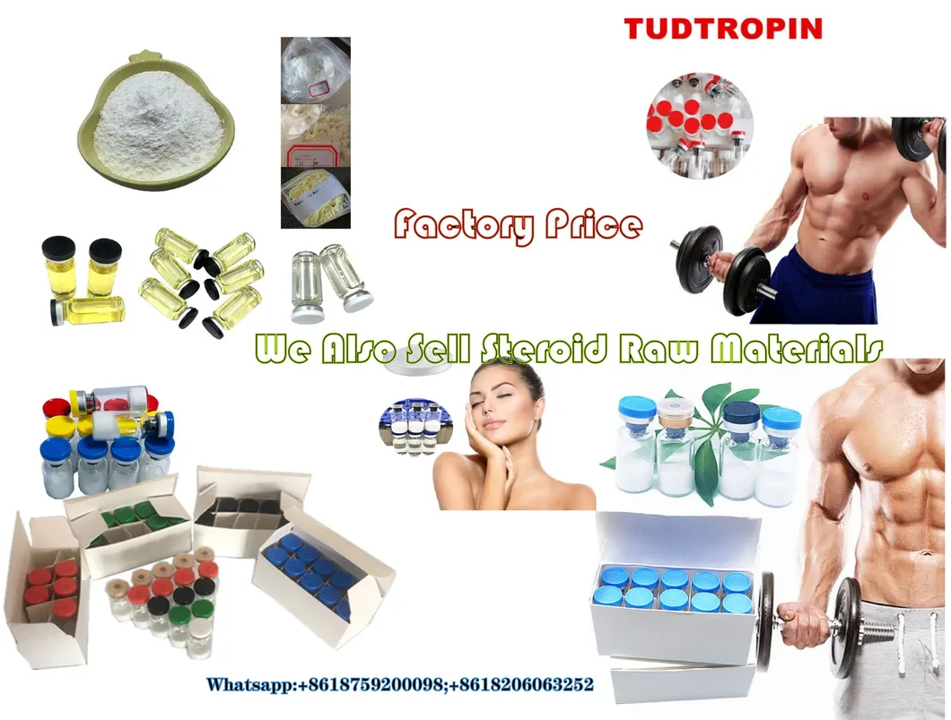 Whey Protein Packaging Paper Square Box HCG 5000iu Pharma Box Embossing and Debossing Finish & HCG 5000iu Factory Price