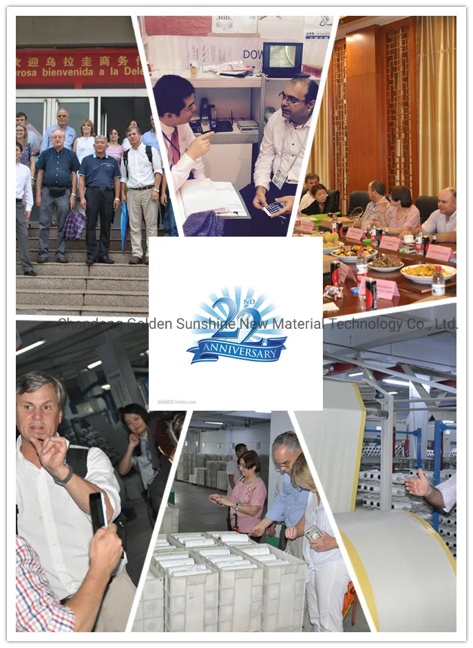 Wholesale White Color Dunnage Air Bag for Container