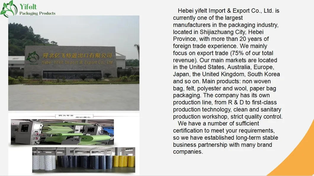 Wholesalse Wine Packaging Paper Bags Matte Shopping Bag Accept Any Custom Designs